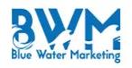 Blue Water Marketing image 2